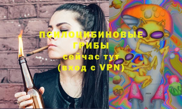спайс Баксан