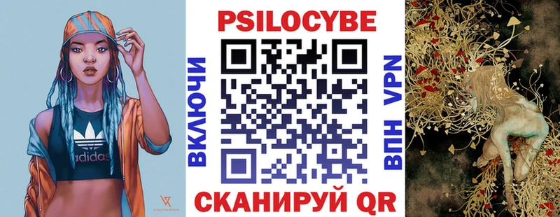 купить наркотик  Сунжа  Галлюциногенные грибы GOLDEN TEACHER 